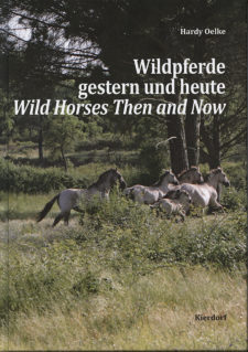 Wildpferde gestern und heute// Bestellinformation beachten!