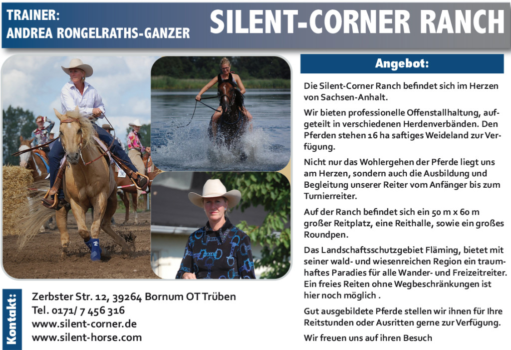 Andrea Rongelraths-Ganzer – Silent Corner – PLZ 39264