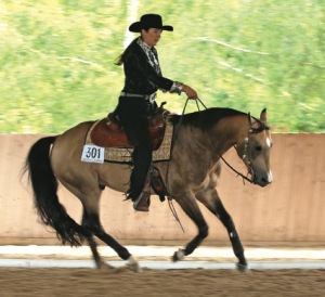 Was wollen Westernreiter