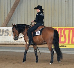 Was wollen Westernreiter1