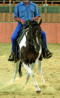„Cowboy Dressage“?