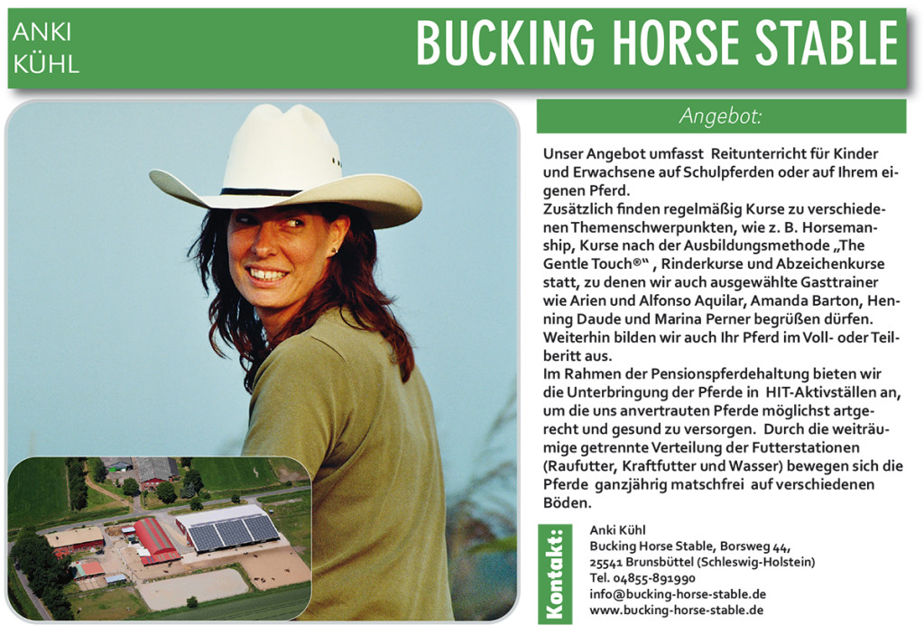 Bucking Horse Stable – Anki Kühl – PLZ 25541