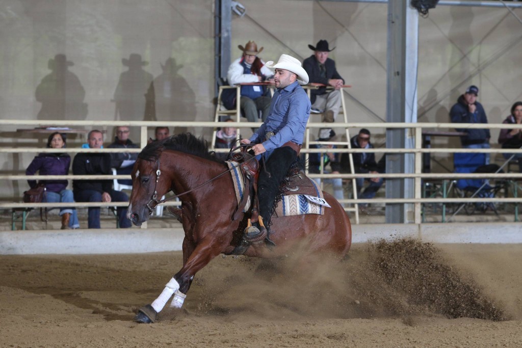 AustrianRHA Futurity: Non Pro Futurity Go Round 3-jährige: Marina Becker und Carlo Ambrosini an der Spitze in L4