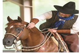 Rieser Roundup und Satteltreffen