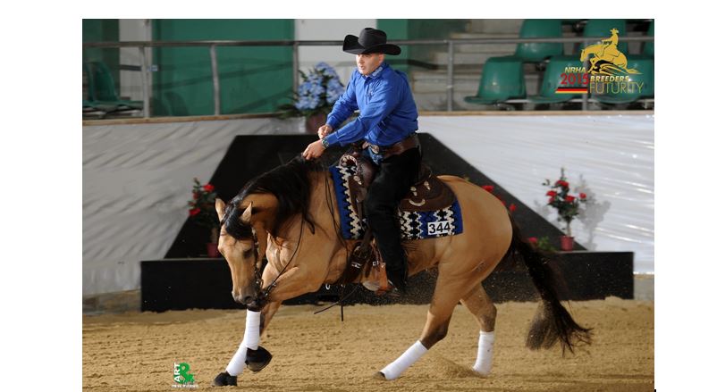 Arcese QH / Leonardo Arcese erhält NRHA Breeders Award 2015