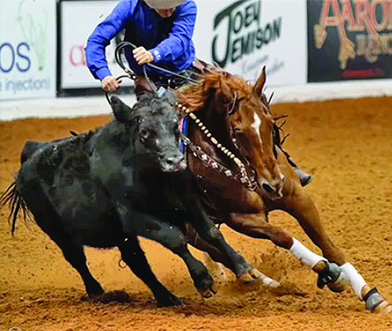 Clayton Edsall gewinnt 2016 NRCHA World’s Greatest Horseman-Titel mit Skeets Oak Peppy