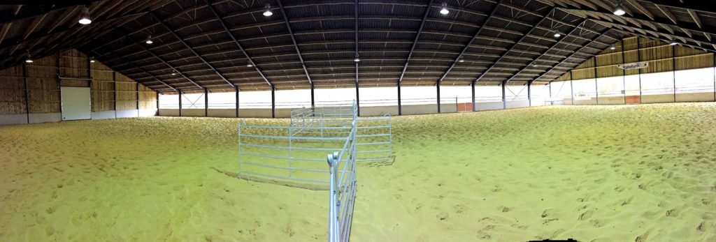 Hagenbeck goes Reining – Ideale Bedingungen für Trainer