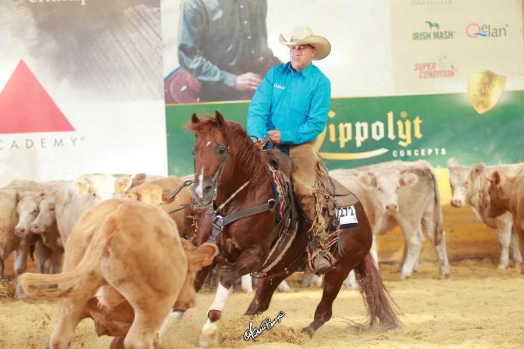 ERCHA / NRCHA Nations Cup 2016 in Mooslargue: Italien führt nach Herd Work vor Frankreich und Deutschland Top Score 75 für Markus Schöpfer & Peptos Lil Bingo