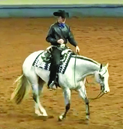 AQHA SUPERHORSE 2016