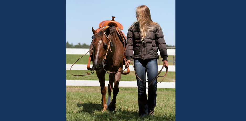 Aus dem Artikel „Schon gehört?“