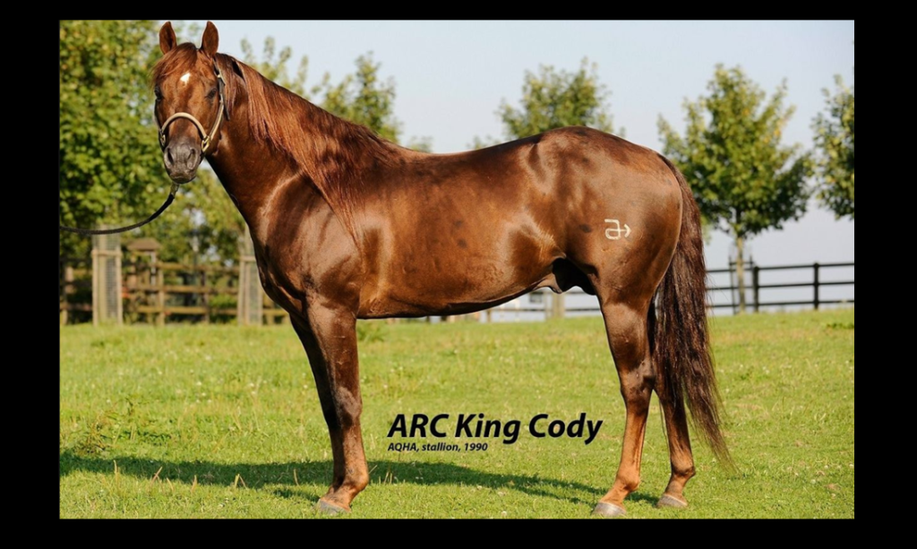R.i.P. „Arc King Cody“ *01.04.1990 – †02.05.2018