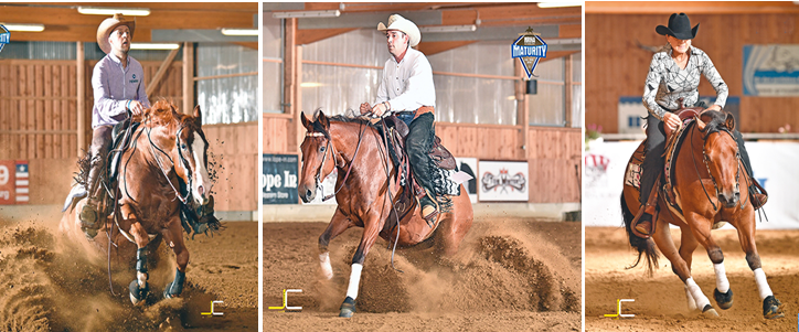 LQH Reining Masters – NRHA Germany Maturity
