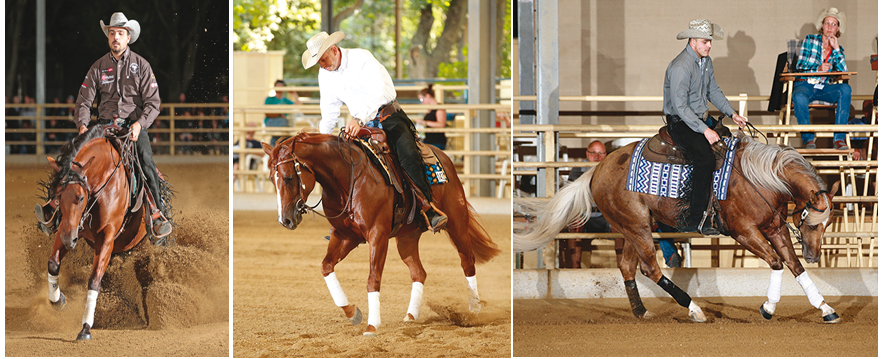 AUSTRIAN FUTURITY 2018