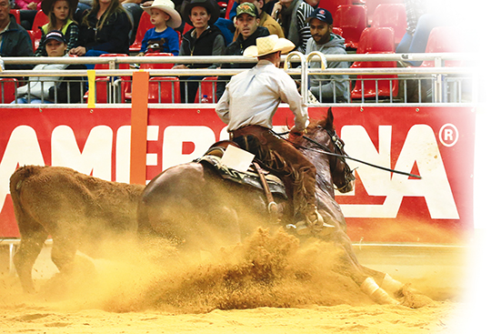 Americana 2019 – WIEDER MIT ERCHA NATIONS CUP