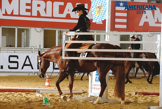 AMERICANA MIT HORSE & DOG TRAIL ERSTMALS SPEED TRAIL