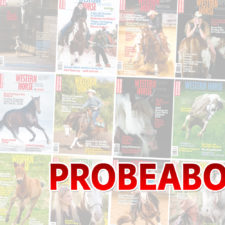 WesternHorse ProbeAbo - DigitAbo2 [Digital]
