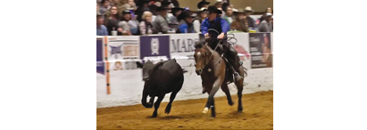 Here Comes The Boon und Lance Johnston NRCHA Open Futurity Champion