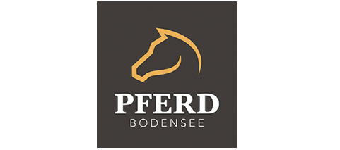 Pferd Bodensee Ende Februar 2020 im Vierländereck