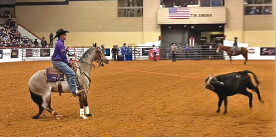 John Swale World’s Greatest Horseman