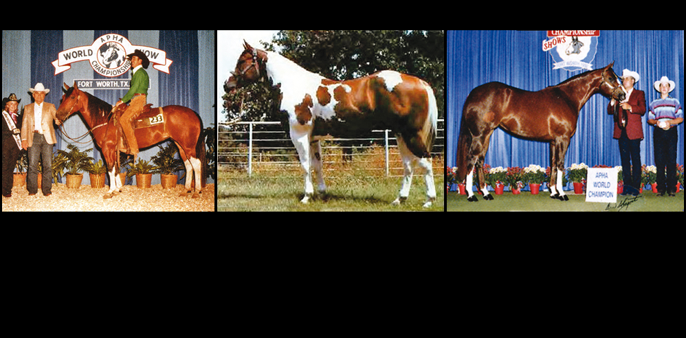 Die neuesten Inductees der APHA Hall Of Fame