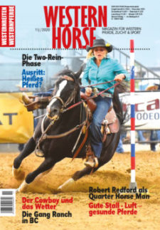 WesternHorse November 2020 - Download [Digital]