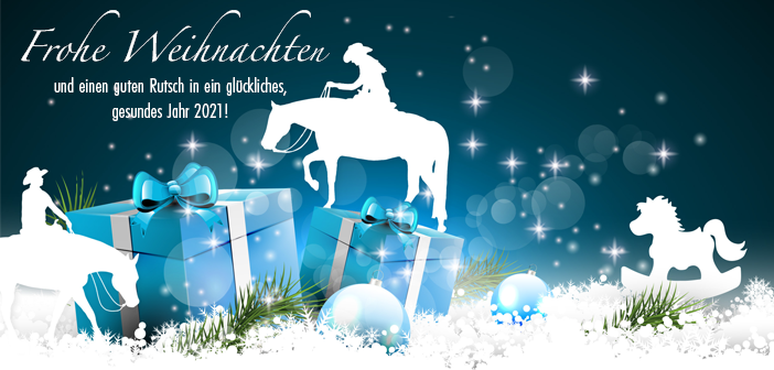 Fröhliche Weihnachten und einen guten Übergang in ein glückliches und gesundes Jahr 2021!