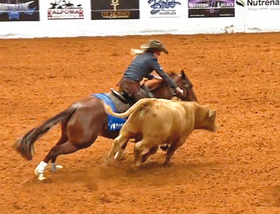 Reined Cow Horse Snaffle Bit Futurity