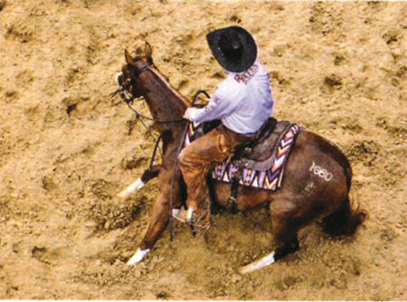 Million-Dollar Baby: Paint-Stute bricht All-Time Sale-Rekord