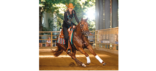 15 Jahre Austrian Reining Futurity