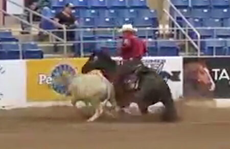 Corey Cushing gewinnt NRCHA DERBY Corey Cushing 2021