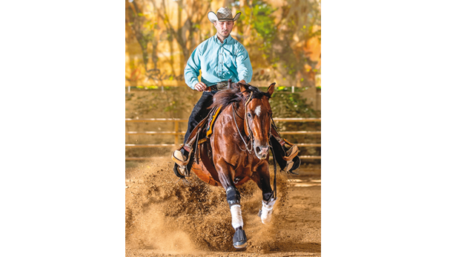 AUSTRIAN REINING FUTURITY