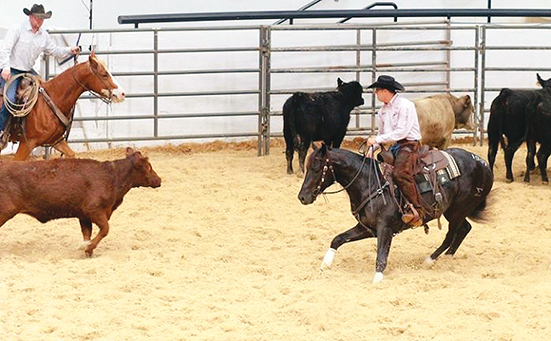 Justin Wright und Zak 34 NRCHA Futurity Champions