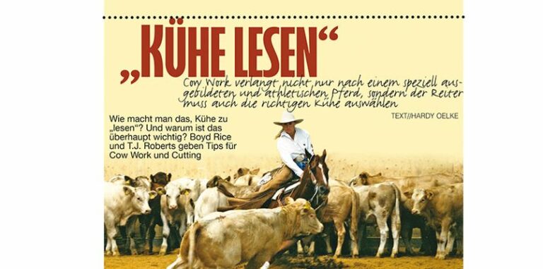 „Kühe lesen“…