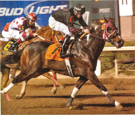 Paint Racing Sires erreichen Million-Dollar Status