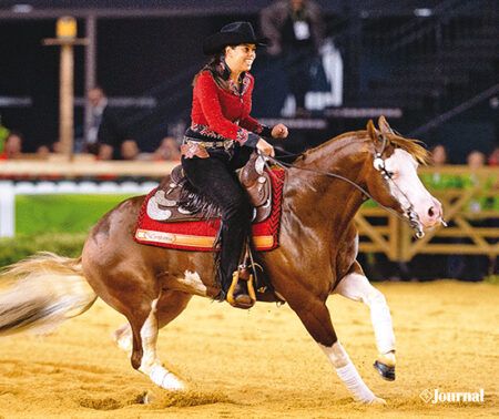 Colonels Shining Gun jetzt NRHA Million-Dollar Sire