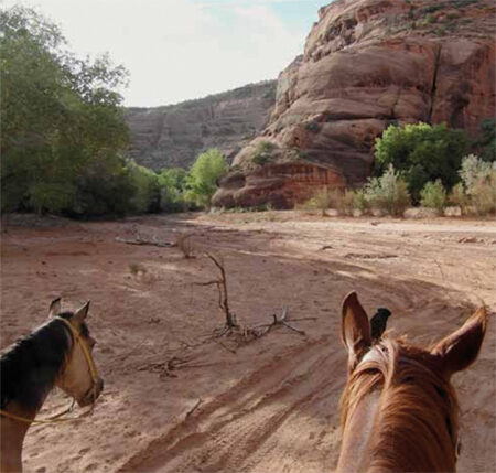 Buchbesprechung USA- Utah und Arizona – Reiten in den Nationalparks