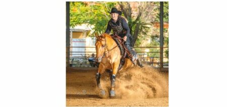 Größte Reining Show Österreichs: 17. Austrian Reining Futurity & NRHA Show