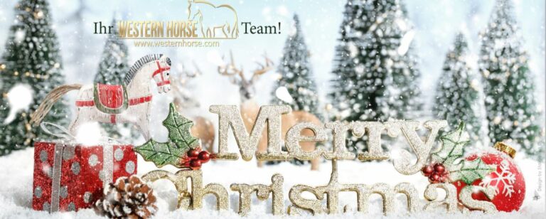 FROHE WEIHNACHTEN EUCH ALLEN!