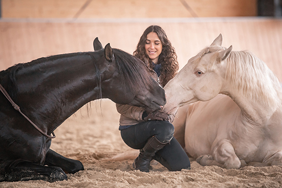 Show „Magic of Horses“ am 26.-28.4.2024 in Worbis