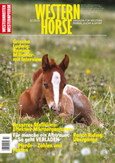 April 2024 - ohne Versandkosten