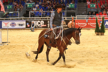 11 WESTERN HORSE FRAGEN AN: SASCHA LUDWIG