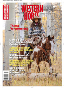 November/Dezember 2024 - ohne Versandkosten